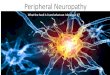 Peripheral Neuropathy · The phaonmneal pweor of the hmuan mnid, aoccdrnig to a rscheearch at Cmabrigde Uinervtisy, it deosn't mttaer in waht oredr the ltteers in a wrod are, the