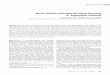 Novel Sexual-Cycle-Speci c Gene Silencing in Aspergillus nidulans · 2013-03-22 · INVESTIGATION Novel Sexual-Cycle-Speciﬁc Gene Silencing in Aspergillus nidulans Wioletta Czaja,1