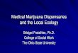 Medical Marijuana Dispensaries and the Local Ecology · How easy is it for youth to get marijuana at retail stores? – 82% compliant (18 of 22 stores; Washington State in 2015) –