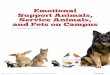 Emotional Support Animals, Service Animals, and Pets on …homepages.se.edu/cvonbergen/files/2015/03/...psychology and business courses using both online and traditional formats at