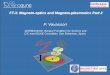 Diapositiva 1 - Magnetismmagnetism.eu/esm/2018/slides/vavassori-slides3.pdf · P. VAVASSORI European School on Magnetism (ESM-2018), Krakow 17-28 September 2018 Localized surface