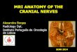 MRI ANATOMY OF THE CRANIAL NERVES - GEYSECO · 2018-01-31 · MRI ANATOMY OF THE CRANIAL NERVES Alexandra Borges Radiology Dpt. Instituto Português de Oncologia de Lisboa SENR 2014