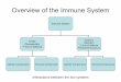 Overview of the Immune System - UMHsici.umh.es/teaching/doctorate/Functional_Genomics_and_Proteomics/PDF/... · Overview of the Immune System Immune System Innate (Nonspecific) 1o