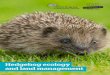 Hedgehog ecology and land management...Hedgehog ecology and land management Hedgehogs are declining Hedgehogs are one of the few wild mammals we sometimes encounter up close and are