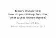 Kidney Disease 101: How do your kidneys function, what ...kdsap.org/KDSAP-BKHS/2012-01 Rhee-Boston Kidney Health Series.pdf · Chronic kidney disease is a major public health problem