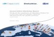 Second Online Workshop Report - Joinup.eu · Second Online Workshop Report “Study of the readiness of Member States for a common pan-European network infrastructure for public services”