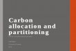 Carbon allocation and partitioning · root biomass and aboveground biomass . Œ 20-30% of aboveground woody biomass (Burton and Pregitzer 2008) Œ Dead roots important . ŒFine roots