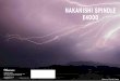 NAKANISHI SPINDLE E4000 · Nature of Tochigi, Japan Y Headquarters・Factory 700 Shimohinata, Kanuma, Tochigi 322-8666, Japan TEL +81-289-64-3520 FAX +81-289-62-1135 NAKANISHI INC