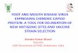FOOT AND MOUTH DISEASE VIRUS EXPRESSING CHIMERIC … Scientific... · FOOT AND MOUTH DISEASE VIRUS EXPRESSING CHIMERIC CAPSID PROTEIN: A TOOL FOR DELINEATION OF NEW ANTIGENIC SITES