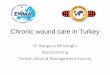 Chronic wound care in Turkey - EWMA Chronic wound care in Turkey Dr Bengusu Mirasoglu Representing Turkish
