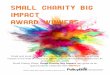 Small Charity BIG Impact award winners - The FSI › ... › 2017 › 06 › Small-Charity-Big-Impact-Book.pdfSmall Charity BIG Impact award winners Small and local charities and community