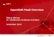 OpenShift PaaS Overview - DLT Solutions · 2019-07-24 · OpenShift PaaS …Bridging App Dev Worlds Cloud-Class Agility • Never any Lock-In • Polyglot with Java, Ruby, Node.js,