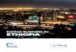 DOING BUSINESS IN Ethiopia - DLA Piper · 04 | Doing Business in Ethiopia iNtroDuCtioN Business can be set up in the form of sole proprietorship, business organisations incorporated