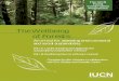 The Wellbeing of Forests - International Union for ... · The Wellbeing of Forests: Issues,Indicators and Performance Criteria on Forests A paper to accompany MapScores software Prepared