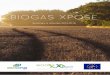 BIOGAS XPOSE Laymans report eng_smallfilesize.… · gasification technology The campaign that Cortus Energy did at the pilot plant in Köping delivered a good result: it is possible