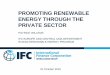 PROMOTING RENEWABLE ENERGY THROUGH THE ......PROMOTING RENEWABLE ENERGY THROUGH THE PRIVATE SECTOR PATRICK WILLEMS IFC EUROPE AND CENTRAL ASIA DEPARTMENT RUSSIA RENEWABLE ENERGY PROGRAM