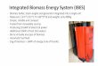 Integrated Biomass Energy System (IBES)ecosmart.co.za/wp-content/uploads/2016/11/IBES-Presentation.pdf · Ash System / Biochar The furnace is equipped with an automatic ash extraction