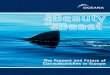The Present and Future of Elasmobranches ... - Oceana Mexico · info@oceana.org 175 South Franklin Street - Suite 418 Juneau, Alaska 99801 (USA) Tel.: + 1 (907) 586 40 50 Fax: + 1(907)