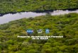 Proyecto de Integridad Forestal de la NASAnbsapforum.net › sites › default › files › NASA_Proyecto de... · República Democrática del Congo, Ecuador, Indone-sia, Perú y