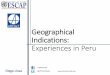 Geographical Indications: Experiences in Peru › sites › default › files... · of technical file July 2005 Submission of application to INDECOPI 2002 Raising awareness workshops