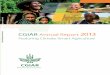 CGIAR CONSORTIUM CGIAR 2013 · is a global partnership that unites organizations engaged in research for a food-secure future. CGIAR research is dedicated to reducing rural poverty,