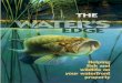 The Water's Edge - Wisconsin Department of Natural Resources · 2004-11-09 · 2 he water’s edge is a busy place. Northern pike, bluegills, bass, and other fish spawn in the shallow