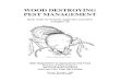WOOD DESTROYING PEST MANAGEMENT · 2017-10-10 · WOOD DESTROYING . PEST MANAGEMENT. Study Guide for Pesticide Application and Safety . Category 15 Eastern Subterranean Termite 