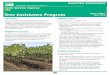 tap fact sheet may 2018 - Farm Service Agency · 2020-05-16 · TAP Overview The 2014 Farm Bill authorized the Tree Assistance Program (TAP) to provide financial assistance to eligible