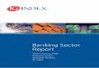 Banking Sector ReportBanking Sector Report 02 28th February 2008 Anthony Grech, Research Analyst, IG Index Citigroup’s 2007 fourth quarter was equally alarming. The largest US bank