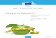 How big is the bioeconomy? - publications.jrc.ec.europa.eu · natural resource and dependence on non-renewable natural resources (European Commission 2012). Consequently, most EU
