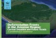 Deforestation Fronts in the Amazon Region · Deforestation in the Amazon is increasingly a global affair and is driven mos-tly by global factors that have become incorporated into