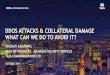 DDOS ATTACKS & COLLATERAL DAMAGE WHAT CAN WE DO TO DDOS ATTACKS â€“ COLLATERAL VICTIMS DO NOT ACCEPT