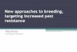 New approaches to breeding, targeting increased pest resistance › wp-content › uploads › sites › … · New approaches to breeding, targeting increased pest resistance Toby
