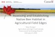 Assessing and Establishing Native Bee Habitat in …...Assessing and Establishing Native Bee Habitat in Agricultural Field Edges Mae Elsinger Agriculture and Agri-Food Canada Science