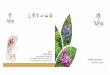Herbal Cosmetics - narvai.comnarvai.com/Narvai-Brochure.pdf · Mfg. By : RootsBerry Organics, Mansata Industrial Area, Gondal Road, B/h. Swastik Steel, Rajkot‐360004. M : 88 49