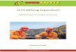 S123 (Mining Supervisor)who has responsibility for managing OHS/WHS. S123 (Mining Supervisor) Doc No. Version No. Name Start Date Review Location VC2017325 1.0 S123 Learner Guide –