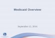 Medicaid Overview - University of South Floridasss.usf.edu/resources/topic/medicaid/medicaid... · 6.1 General Criteria 6.2 Specific Criteria 7.0 Authorization 7.1 General Criteria