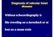 Without echocardiography is like traveling on a horseback ... · Without echocardiography is like traveling on a horseback or at best on a steam train. 2 Echocardiography 2D . 3 Diagnosis