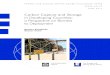 Carbon Capture and Storage in Developing Countries: a Perspective on Barriers … · 2017-05-05 · Carbon Capture and Storage in Developing Countries: a Perspective on Barriers to