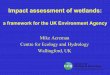 a framework for the UK Environment Agencylevis.sggw.waw.pl/wethydro/contents/w3m/presentations/...• Birds Directive (79/409/EEC) - special measures to conserve the habitats of listed