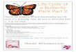 Life Cycle of a Butterfly Pack Part 2 · 21-24 – Roll & Count & tally 25-26 – Count and Graph 27-28 Label the Life Cycle of the Butterfly 29 – Find the Letter B 30-32 – Trace