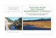 Plumas County Flood FEATHER RIVER WATERSHED … · Feather River Watershed California Press. Berkeley California. Management Strategy 6 Notes and Additional Resources: Geologic features