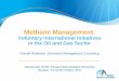 Methane Management: Voluntary International …...Methane Management: Voluntary International Initiatives in the Oil and Gas Sector Donald Robinson, Emissions Management Consulting