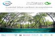 Coastal blue carbon ecosystems - International Union for … ·  · 2019-05-20Coastal blue carbon ecosystems. Opportunities for Nationally Determined Contributions. Policy Brief
