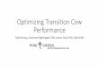Optimizing Transition Cow Performance - Jersey cattle · experience this is a critical piece for successful transition of the Jersey cow. •In broad terms these diets cause a short-term
