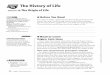 chapter 14 The History of Life - Mrs. Shior's Biology Page! · 164 Chapter 14 The History of Life Reading Essentials ... the endosymbiont theory Before You Read You want to make a