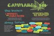 CANNABIS 101 - Youth Now€¦ · don’t know the safety of dabbing. TOPICALS. Youth Now (youthnow.me) is a program of Prevent Coalition (preventcoalition.org). Brought to you by