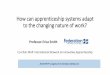 How can apprenticeship systems adapt to the changing ...India and Germany (326 occupations in apprenticeships) have systems for adding new occupations. The Ztrailblazer [ system in