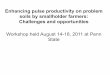 Enhancing pulse productivity on problem soils by smallholder farmers: Challenges …C... ·  · 2017-11-20Challenges and opportunities Workshop held August 14-18, 2011 at Penn State