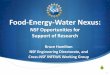 Food-Energy-Water Nexus - UNLresearch.unl.edu/infews/wp-content/uploads/sites/20/2015/08/NSF-I… · NEW INFEWS DCL Just Posted “Dear Colleague Letter: FY 2016 Innovations at the